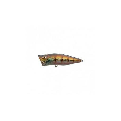 Ark Fishing Elite Z-Pop Topwater  Popper