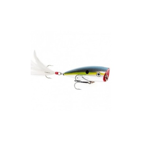 Strike King HC KVD Splash Popper