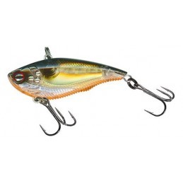 Pesca y Más